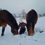 Lägenhet Schilz Ii - Urlaub Auf Dem Bauernhof Plütscheid