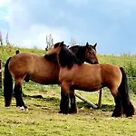 Schilz Ii - Urlaub Auf Dem Bauernhof Lägenhet *