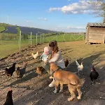 Lägenhet Schilz Ii - Urlaub Auf Dem Bauernhof Plütscheid