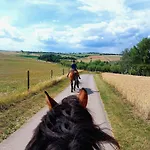 Schilz Ii - Urlaub Auf Dem Bauernhof Lägenhet *