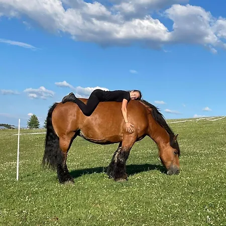 Schilz Ii - Urlaub Auf Dem Bauernhof *