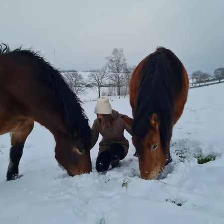 Apartment Schilz Ii - Urlaub Auf Dem Bauernhof Plutscheid