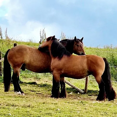 Schilz Ii - Urlaub Auf Dem Bauernhof Apartment *