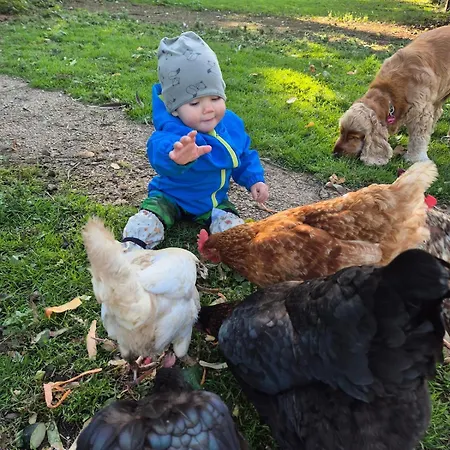 Schilz Ii - Urlaub Auf Dem Bauernhof Apartment *