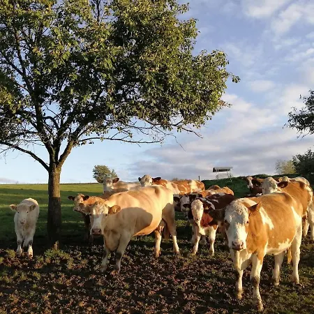 Schilz Ii - Urlaub Auf Dem Bauernhof Apartment *