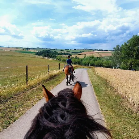 Schilz Ii - Urlaub Auf Dem Bauernhof Apartment *