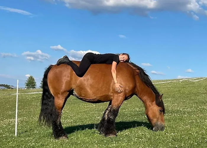 Schilz Ii - Urlaub Auf Dem Bauernhof *