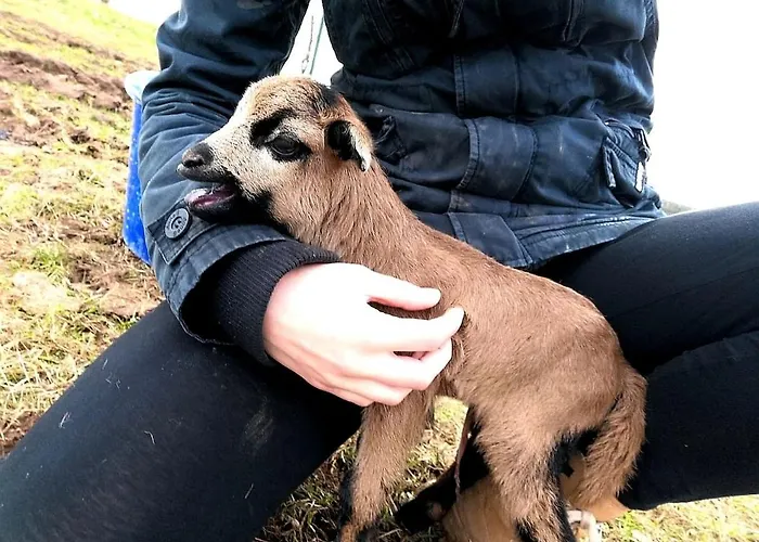 Apartamento Schilz Ii - Urlaub Auf Dem Bauernhof *
