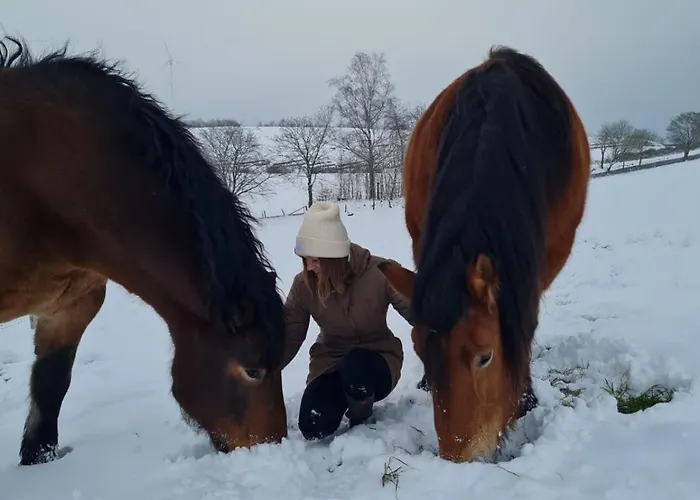 Appartement Schilz Ii - Urlaub Auf Dem Bauernhof Plütscheid