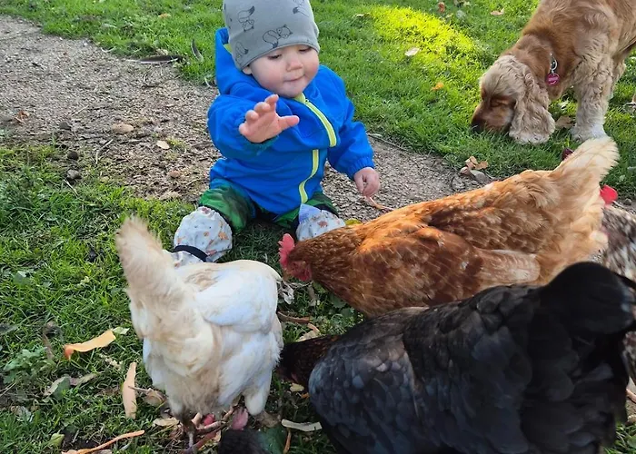 Schilz Ii - Urlaub Auf Dem Bauernhof Appartement *