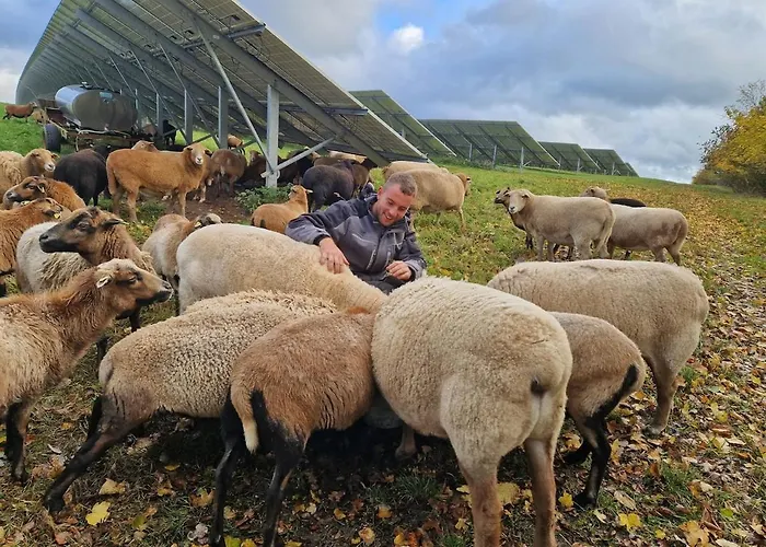 Apartamento Schilz Ii - Urlaub Auf Dem Bauernhof