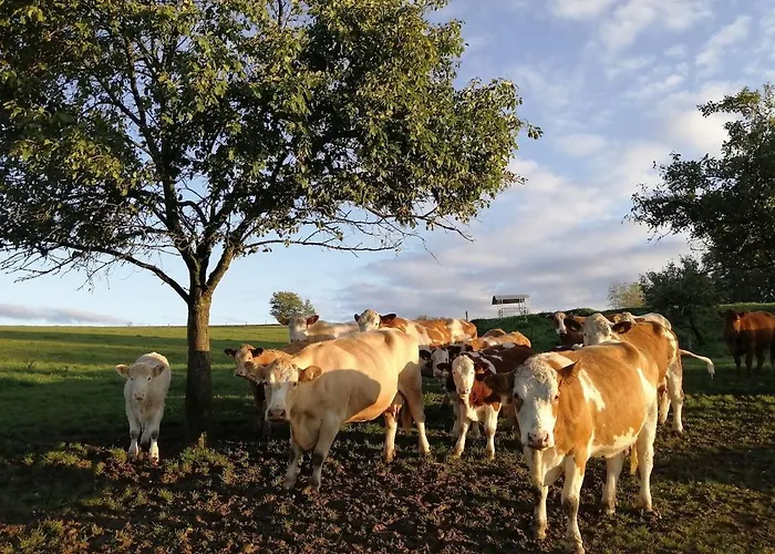 Schilz Ii - Urlaub Auf Dem Bauernhof Appartement *