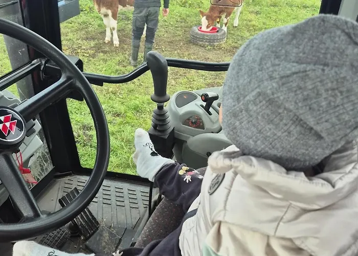 Appartement Schilz Ii - Urlaub Auf Dem Bauernhof